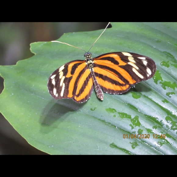 Meet your Posher, Joanne - Picture 4 of 5